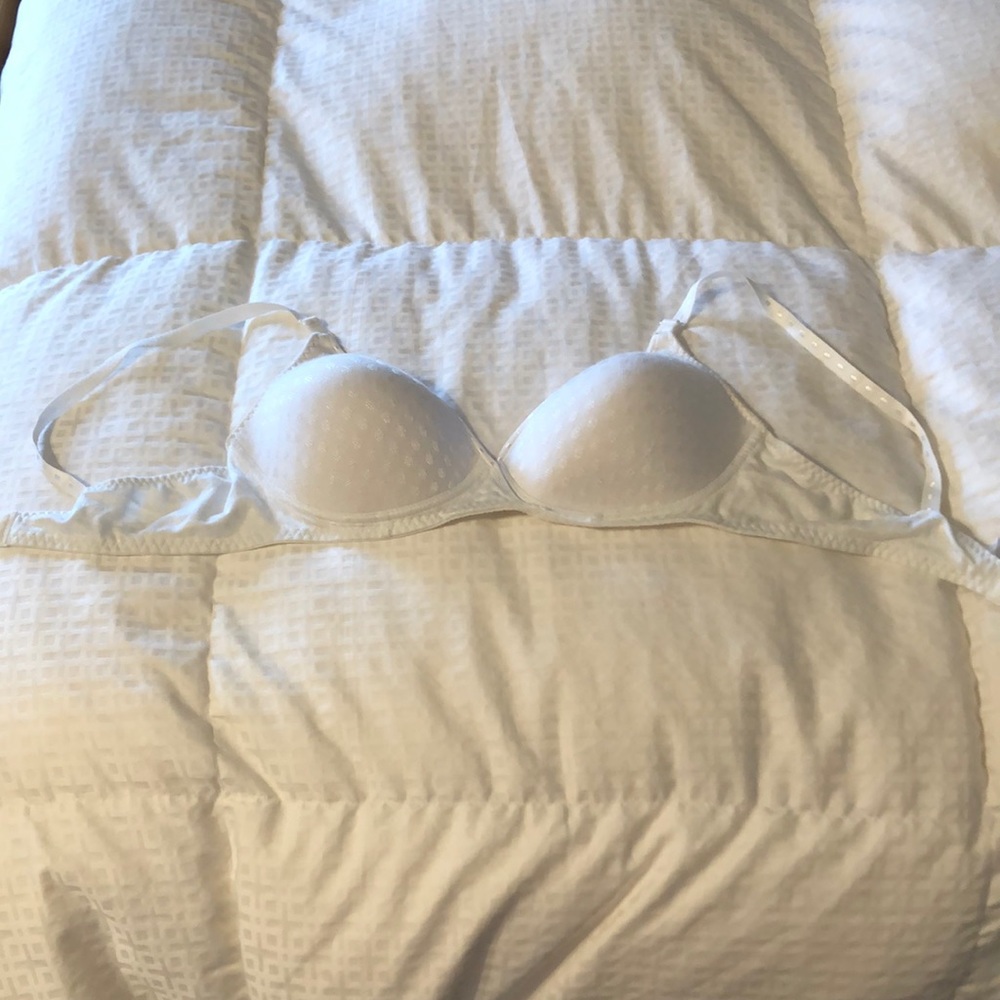 38C Fruit if the Loom Bra